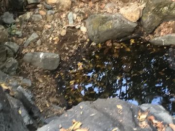 Terreno en Venta en Tomatlán, Jalisco