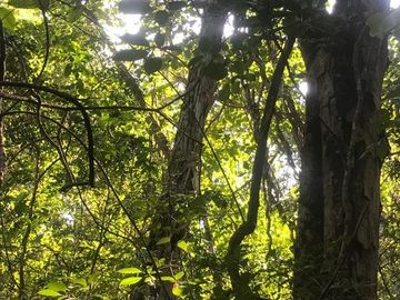 Terreno en Venta en Tomatlán, Jalisco