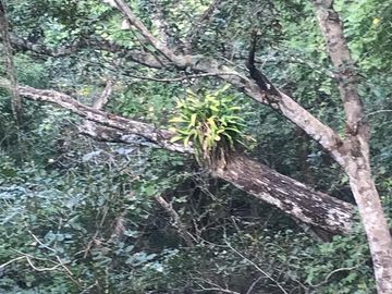 Terreno en Venta en Tomatlán, Jalisco