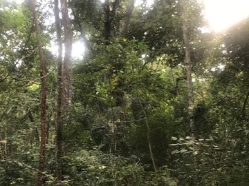 Terreno en Venta en Tomatlán, Jalisco
