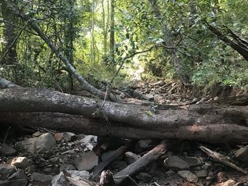 Terreno en Venta en Tomatlán, Jalisco
