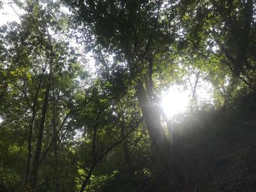 Terreno en Venta en Tomatlán, Jalisco