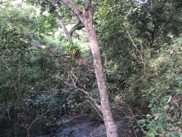 Terreno en Venta en Tomatlán, Jalisco