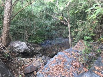 Terreno en Venta en Tomatlán, Jalisco