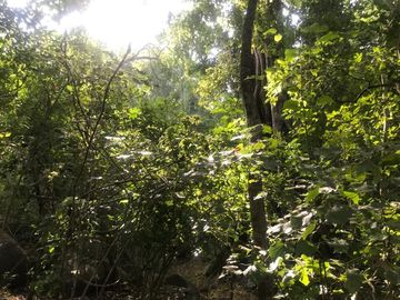 Terreno en Venta en Tomatlán, Jalisco