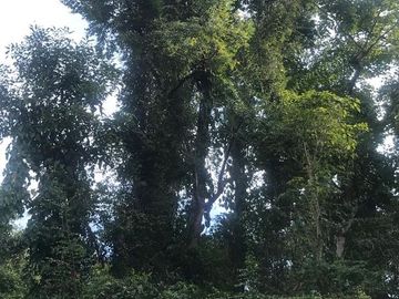Terreno en Venta en Tomatlán, Jalisco