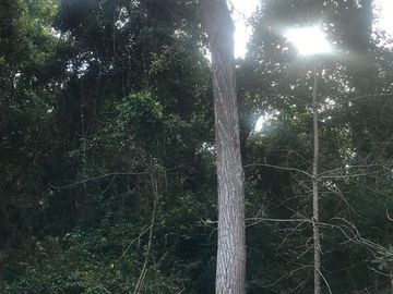 Terreno en Venta en Tomatlán, Jalisco