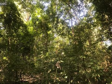 Terreno en Venta en Tomatlán, Jalisco