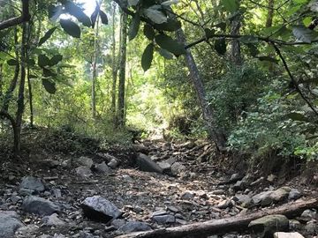 Terreno en Venta en Tomatlán, Jalisco