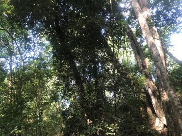 Terreno en Venta en Tomatlán, Jalisco