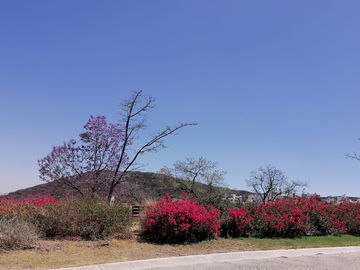 Amueblada en Biogrand Juriquilla reserva ecológica
