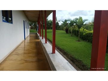 VENTA FINCA EN PRODUCCION PLATANO Y AGUACATE  ULLOA - VALLE