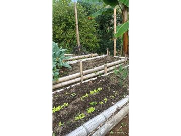 VENTA FINCA EN PRODUCCION PLATANO Y AGUACATE  ULLOA - VALLE