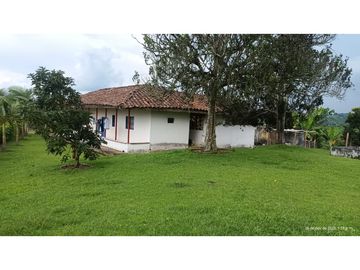 VENTA FINCA EN PRODUCCION PLATANO Y AGUACATE  ULLOA - VALLE