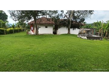 VENTA FINCA EN PRODUCCION PLATANO Y AGUACATE  ULLOA - VALLE