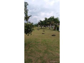 VENTA FINCA EN PRODUCCION PLATANO Y AGUACATE  ULLOA - VALLE