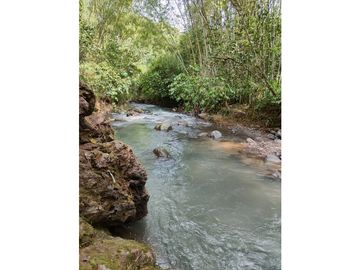 VENTA FINCA EN PRODUCCION PLATANO Y AGUACATE  ULLOA - VALLE