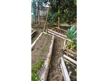 VENTA FINCA EN PRODUCCION PLATANO Y AGUACATE  ULLOA - VALLE
