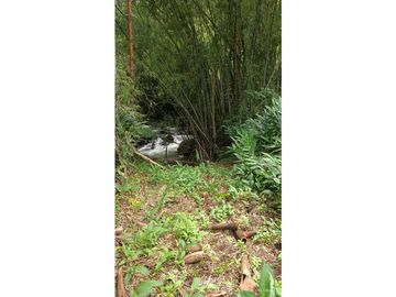 VENTA FINCA EN PRODUCCION PLATANO Y AGUACATE  ULLOA - VALLE