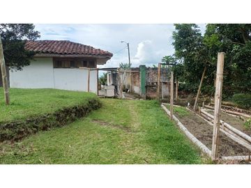 VENTA FINCA EN PRODUCCION PLATANO Y AGUACATE  ULLOA - VALLE