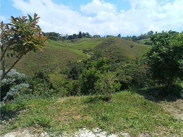 VENTA CASA CAMPESTRE CON HERMOSA VISTA SECTOR CONDINA - PEREIRA
