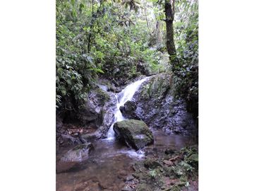 VENTA CASA CAMPESTRE CON HERMOSA VISTA SECTOR CONDINA - PEREIRA