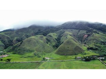 FINCA GANADERA EN VENTA O PERMUTA URRAO ANTIOQUIA