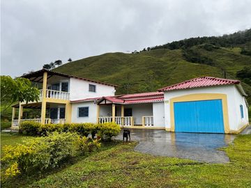 FINCA GANADERA EN VENTA O PERMUTA URRAO ANTIOQUIA
