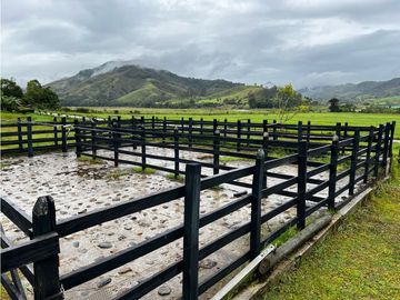 FINCA GANADERA EN VENTA O PERMUTA URRAO ANTIOQUIA