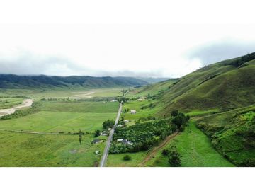 FINCA GANADERA EN VENTA O PERMUTA URRAO ANTIOQUIA
