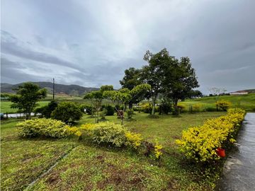 FINCA GANADERA EN VENTA O PERMUTA URRAO ANTIOQUIA