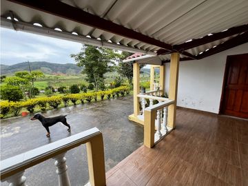 FINCA GANADERA EN VENTA O PERMUTA URRAO ANTIOQUIA