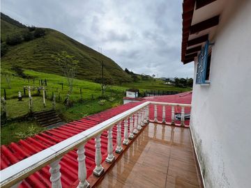 FINCA GANADERA EN VENTA O PERMUTA URRAO ANTIOQUIA
