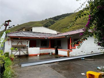 FINCA GANADERA EN VENTA O PERMUTA URRAO ANTIOQUIA