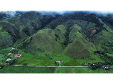 FINCA GANADERA EN VENTA O PERMUTA URRAO ANTIOQUIA