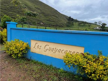 FINCA GANADERA EN VENTA O PERMUTA URRAO ANTIOQUIA