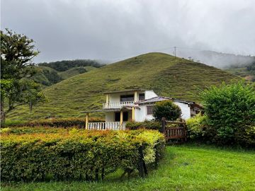 FINCA GANADERA EN VENTA O PERMUTA URRAO ANTIOQUIA
