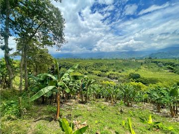 Se Vende Finca El Caimo Vista Cañon Rio Quindío