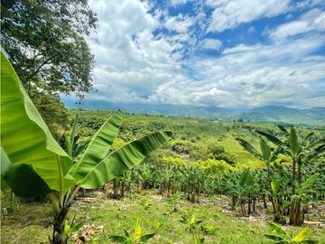Se Vende Finca El Caimo Vista Cañon Rio Quindío