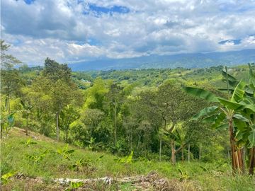 Se Vende Finca El Caimo Vista Cañon Rio Quindío