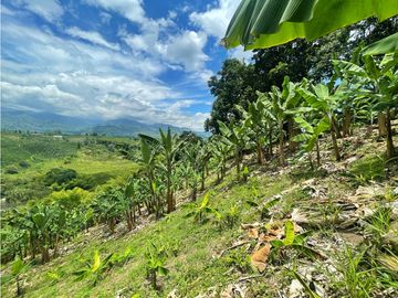 Se Vende Finca El Caimo Vista Cañon Rio Quindío