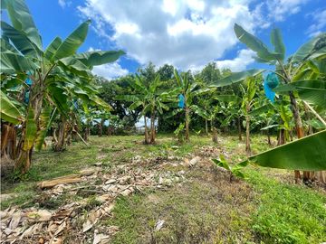 Se Vende Finca El Caimo Vista Cañon Rio Quindío