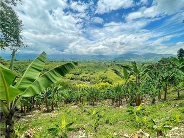Se Vende Finca El Caimo Vista Cañon Rio Quindío