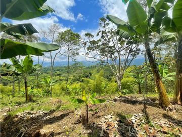 Se Vende Finca El Caimo Vista Cañon Rio Quindío