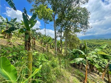 Se Vende Finca El Caimo Vista Cañon Rio Quindío