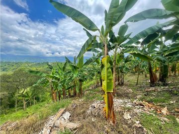 Se Vende Finca El Caimo Vista Cañon Rio Quindío