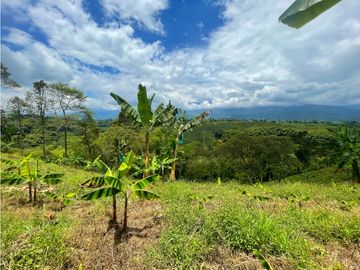 Se Vende Finca El Caimo Vista Cañon Rio Quindío