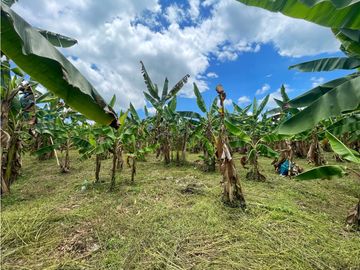 Se Vende Finca El Caimo Vista Cañon Rio Quindío