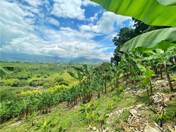 Se Vende Finca El Caimo Vista Cañon Rio Quindío