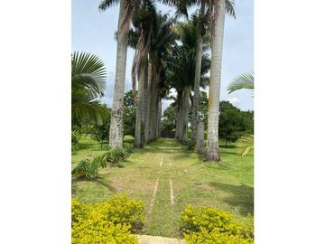 Finca Turística A La venta En Quimbaya Quindio